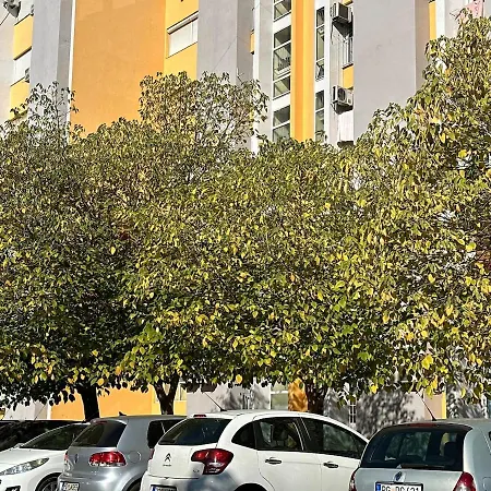 Apartment Old Town Hideaway Free Parking Podgorica