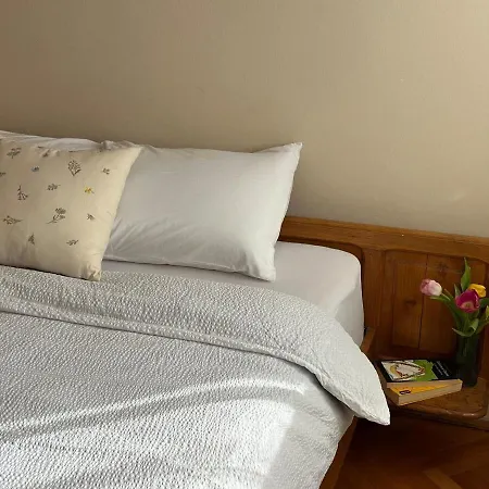 Old Town Hideaway Free Parking Apartment Podgorica